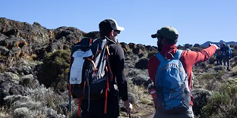 7 Days Lemosho Bliss Unveiling Kilimanjaro in Adventurous