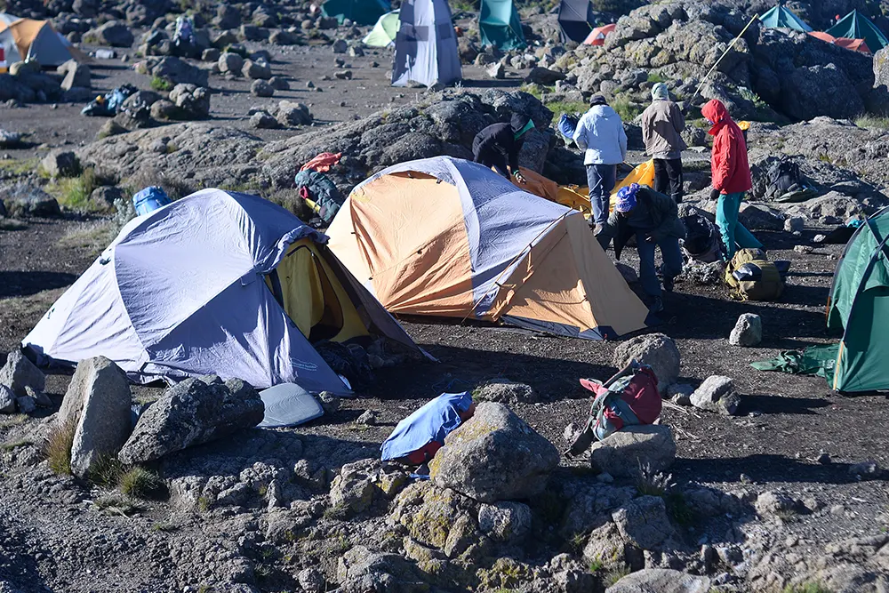 Shira 2 Campsite Kilimanjaro