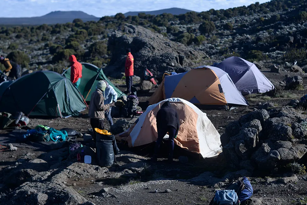 Shira 2 Campsite Kilimanjaro