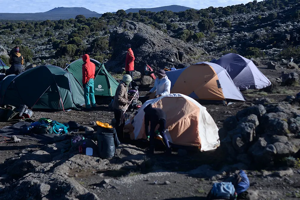 Shira 2 Campsite Kilimanjaro