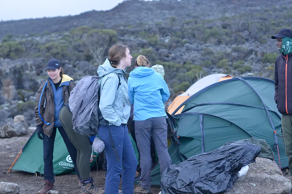 Shira 2 Campsite Kilimanjaro