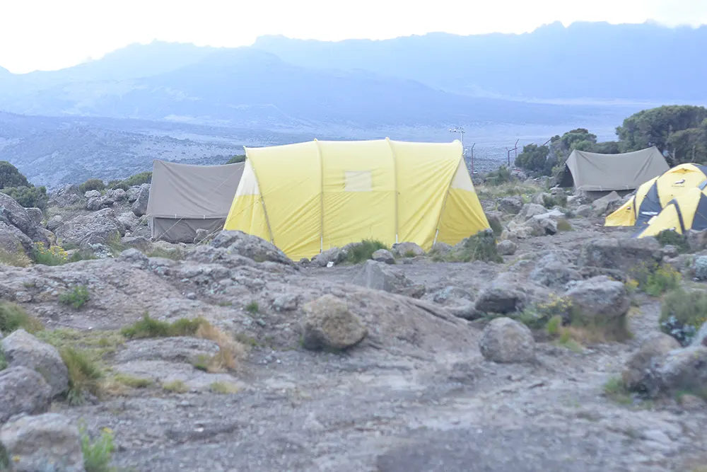 Shira 2 Campsite Kilimanjaro