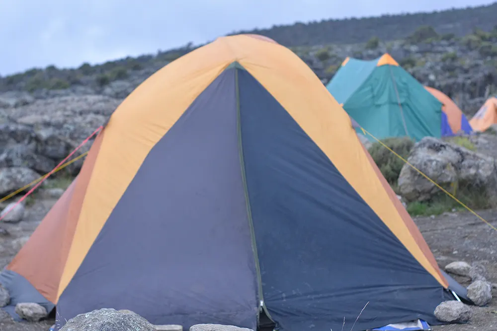 Shira 2 Campsite Kilimanjaro