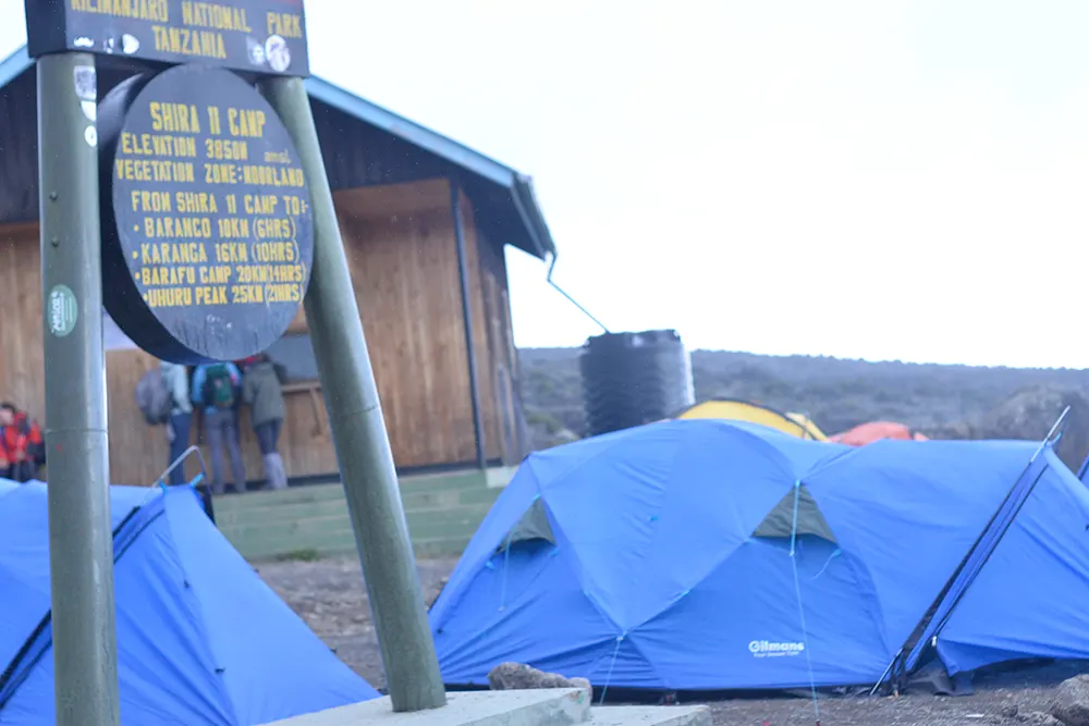 Shira 2 Campsite Kilimanjaro