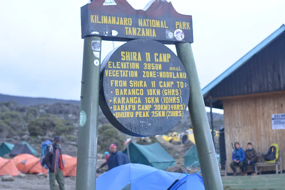 Shira 2 Campsite Kilimanjaro