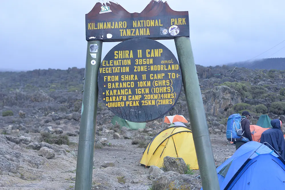 Shira 2 Campsite Kilimanjaro