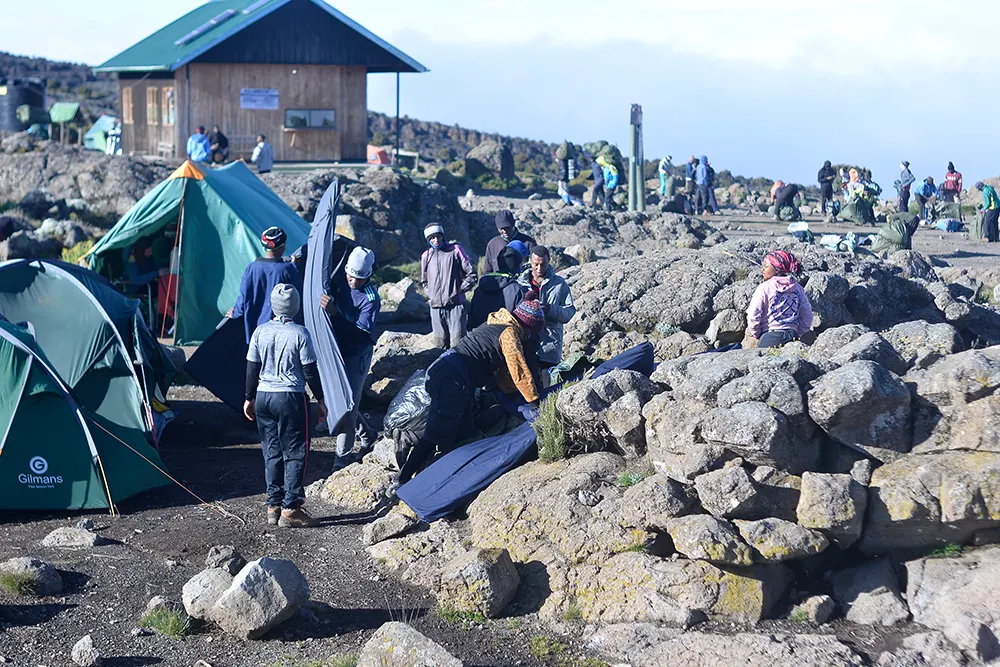 Shira 2 Campsite Kilimanjaro
