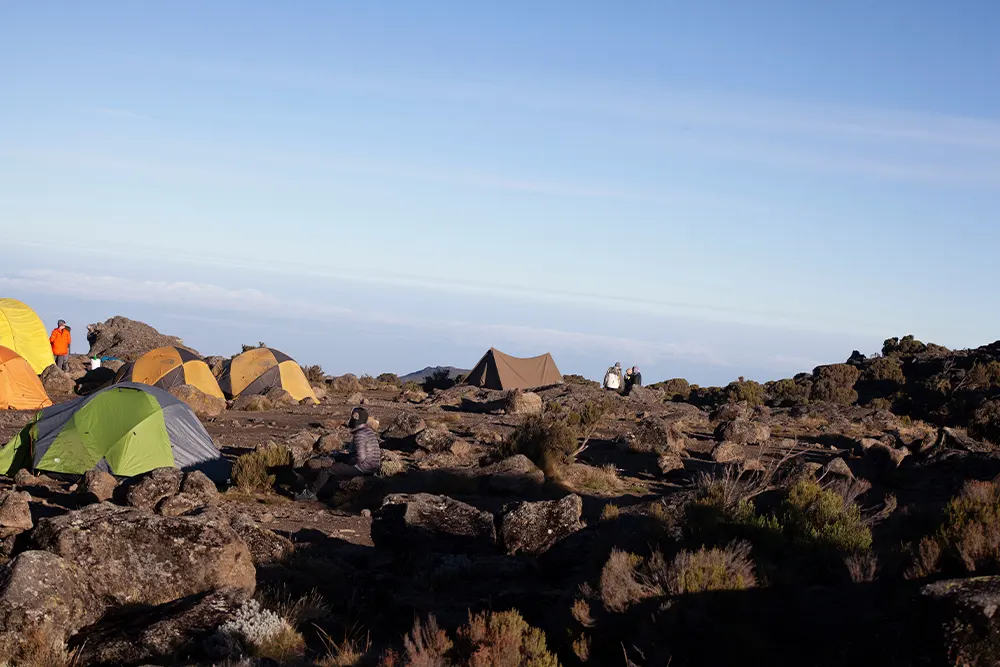 Shira 2 Campsite Kilimanjaro