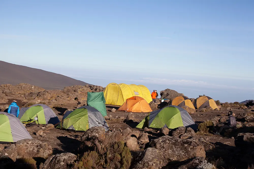 Shira 2 Campsite Kilimanjaro
