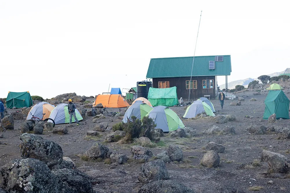 Shira 2 Campsite Kilimanjaro