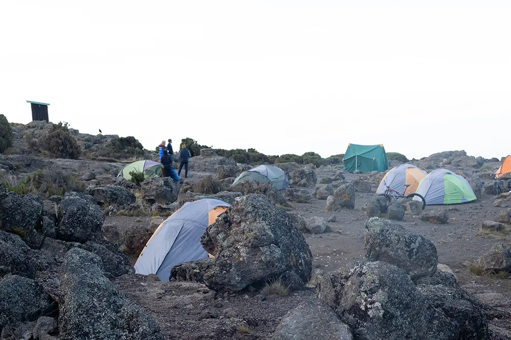 Shira 2 Campsite Kilimanjaro