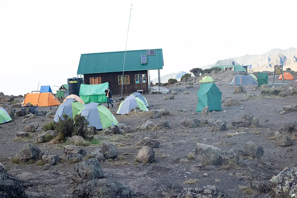 Shira 2 Campsite Kilimanjaro