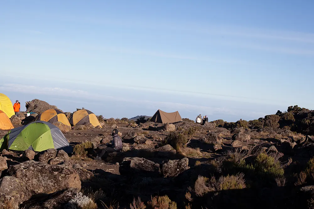 Shira 2 Campsite Kilimanjaro