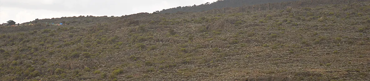 Kilimanjaro Machame Route