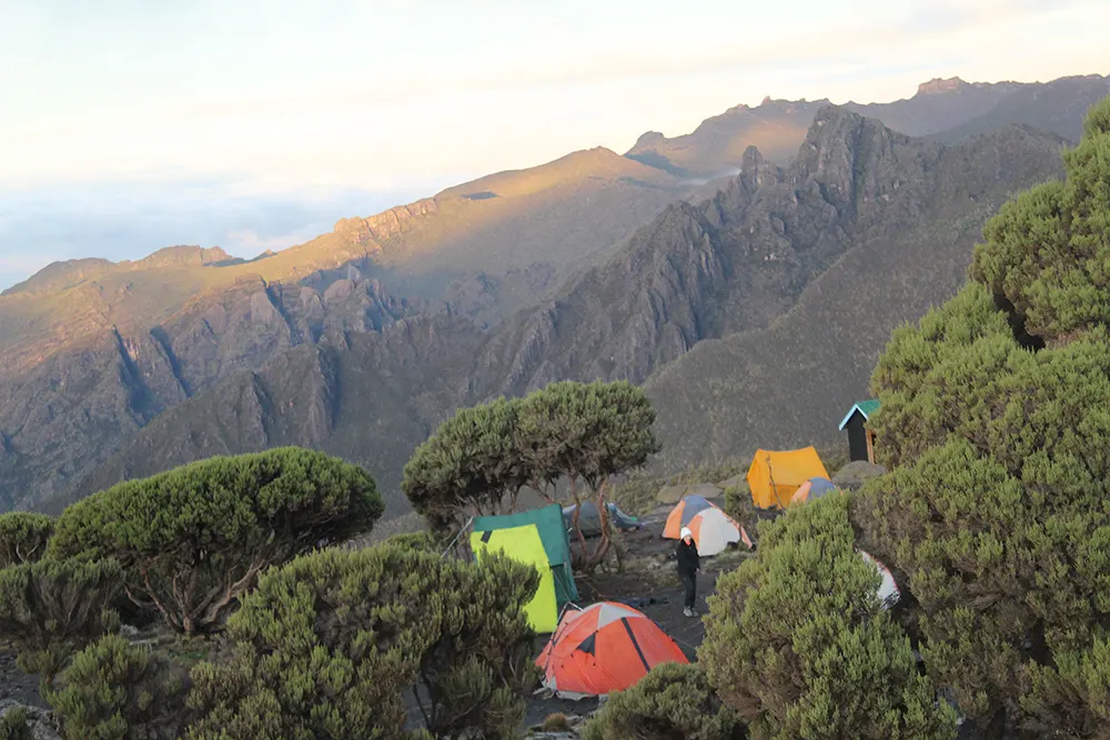 Shira Cave Campsite kiiimanjaro