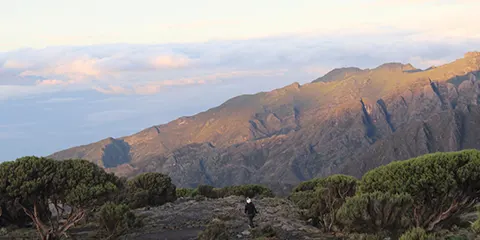 7 Days Journey of Discovery Kilimanjaro Machame Hiking