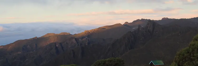 Machame Camp to Shira 2 Camp