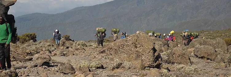 Shira Cave Campsite (3,750m) - Lava Tower (4,600m) - Barranco Campsite (3,900m).