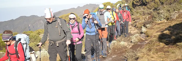 Shira 1 Camp â€“ Lava Tower â€“ Moir Hut