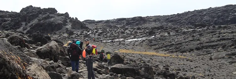 Hiking from Shira Cave Camp (3,900 M) to Barranco Camp (3,960 M) through Lava Tower (4,630 M)