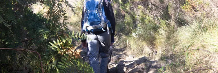 Horombo Hut - Mandara Hut - Marangu Gate - Back to Moshi/Arusha