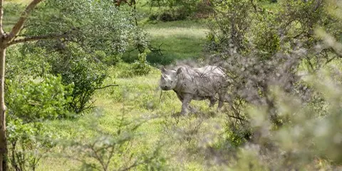cover-2 Days Camping Safari in Tarangire and Ngorongoro Crater