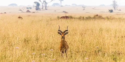 2 Days Tanzania Mid Range Safari Tarangire and Ngorongoro