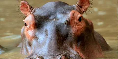 5 Days Luxury Safari in Tarangire and Ngorongoro Crater