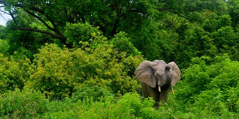 4 Days Budget Camping Joining Safari 