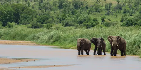 6 Days Top Private Safari to Serengeti and Ngorongoro