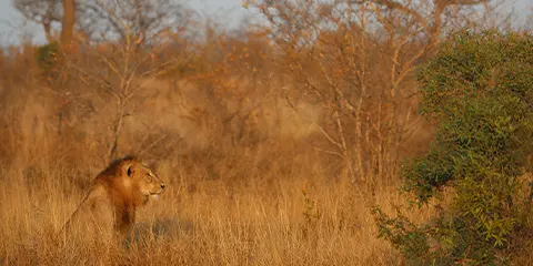 3 Days Thrifty Adventures Camping Budgeting Group Safari 