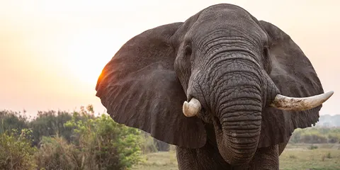 3 Days Thrifty Adventures Camping Budgeting Group Safari