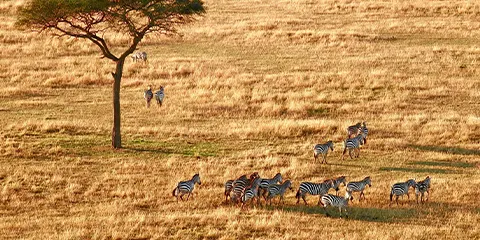 cover-4 Days Exclusive Lodge Safari Tarangire to Ngorongoro 