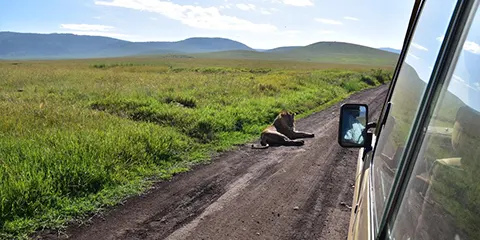 3 Days Safari Fiesta Camping Group for Big Five Fun