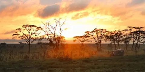 3 Days Affordable Escape Trip to Camping with Big Five