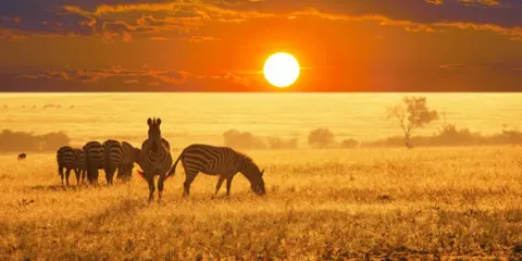 2 Days Luxury Private Lodge Tarangire and Ngorongoro