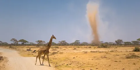 5 Days Super Vip Safari Symphony of Luxury in Tanzania