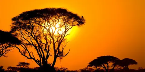 3 Days Vip Retreat Through Serengeti and Ngorongoro