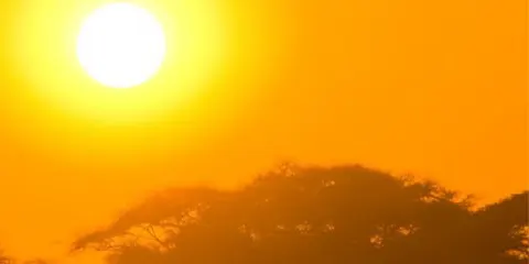 cover-4 Days Tanzania Safari in Tarangire , Serengeti and Ngorongoro