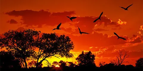 5 Days Mid Range Tarangire Serengeti and Ngorongoro 