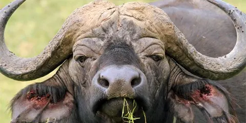 3 Days Wilderness on a Budget Join Our 3 Day Camping