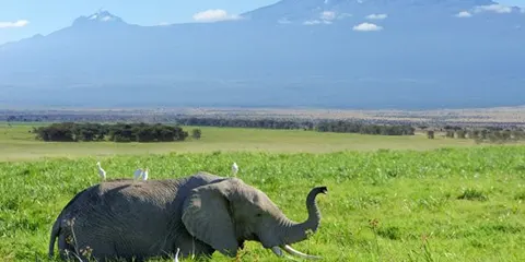 4 Days Safari Elegance Vip Trip Retreat in Tanzania