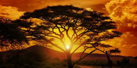 4 Days Tanzania Private Safari Bliss Unleashed Mid Range Retreat