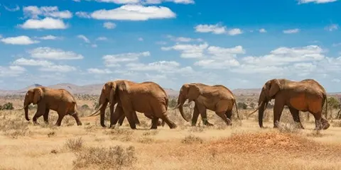 3 Days Serengeti and Ngorongoro Private Mid Range Safari 