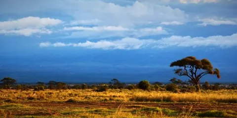 2 Days Safari of Luxury in Tarangire to Ngorongoro Crater