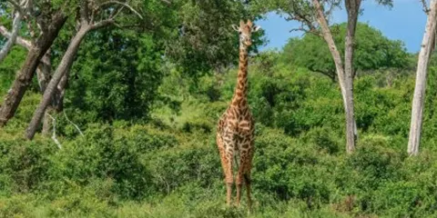 3 Days Mid Range Mid Range in Serengeti and Ngorongoro 