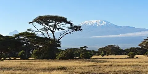 5 Days Safari Bliss Unleashed Big Five Mid Range Retreat