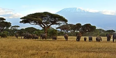 3 Days Tanzania Vip Safari to Serengeti and Ngorongoro