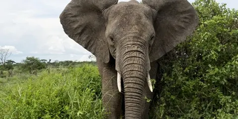 6 Days Private Safari Trip to Tarangire Landscapes