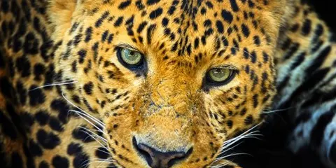 4 Days Unplugged Mid Range Luxury Journey